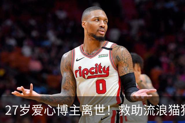 27岁爱心博主离世！救助流浪猫狗感染罕见真菌，ICU抢救22天，丈夫：她在我眼里没有缺点